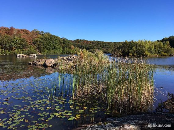 Butler Reservoir at Apshawa Preserve