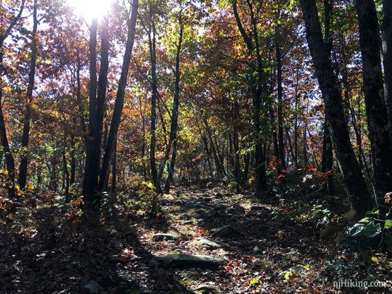 Green trail.