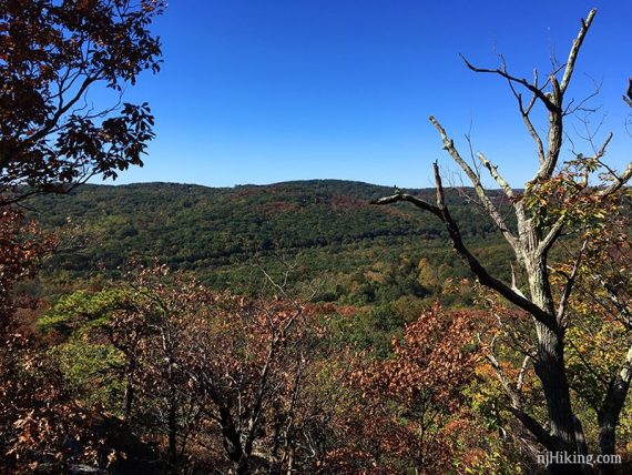 View on Green trail.