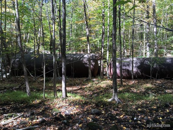 Large metal water tanks in a forest.