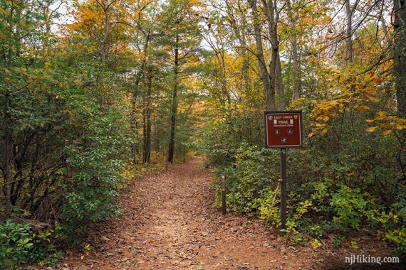 Fall at Belleplain State Park