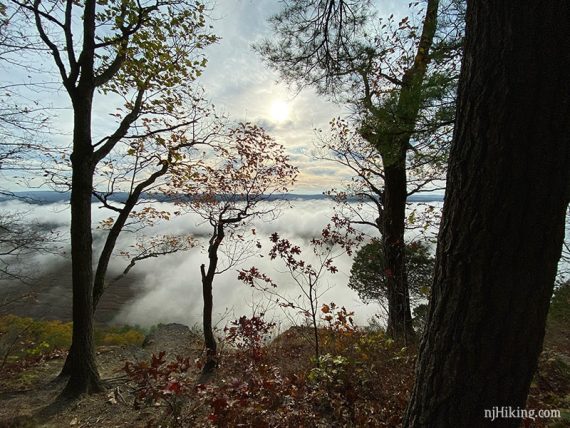 Foggy viewpoint on the Cliff Trail