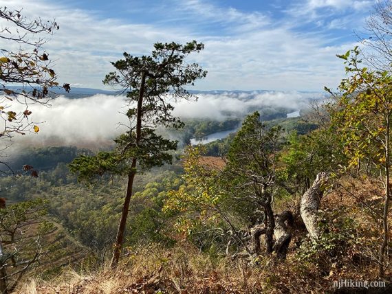 Cloudy viewpoint