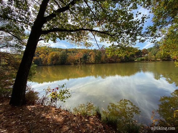 Pond in Cliff Park