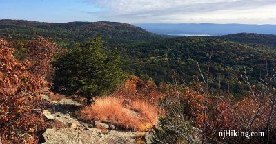 View from Osio Rock