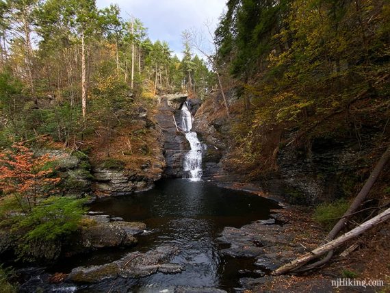 Raymondskill Falls cascading down a tall rock face into a pool of water.