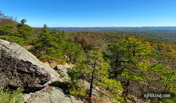 View over green forest with a large slanted rock in the foreground