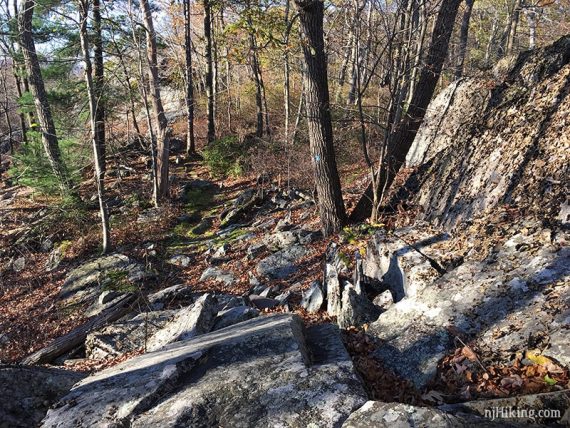 Rocky trail to keep it intersting