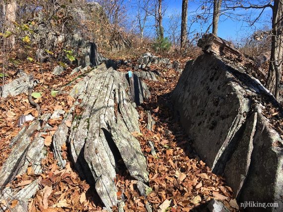 Flat rocks.