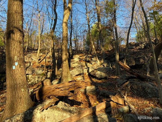 Rocky trail heading up