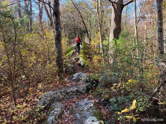 Hiking on a rock slab.