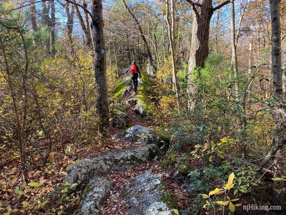 Hiking on a rock slab