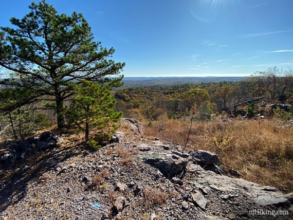 View from the pipeline cut