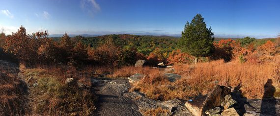 Panorama from Hewitt Butler trail.