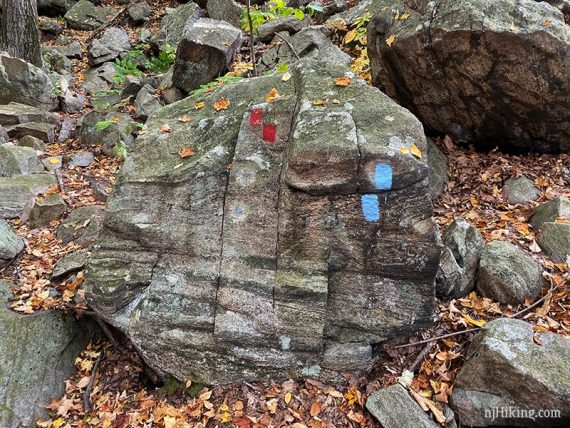 Hewitt Butler and Torne trail intersection with red and blue markers painted on a rock.