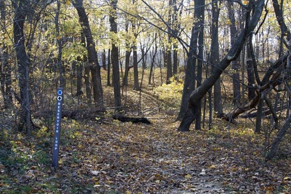 Reservoir Trail