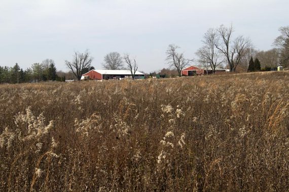 Farmhouse and fields