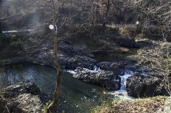 Looking down on the stream.