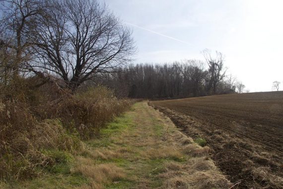 Hike past fields