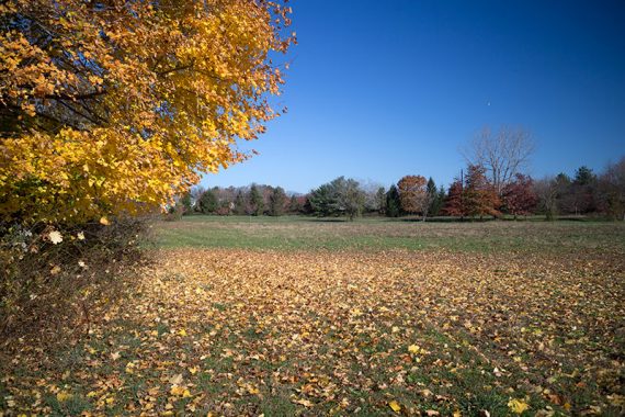 Marlu Trail follows field edges.