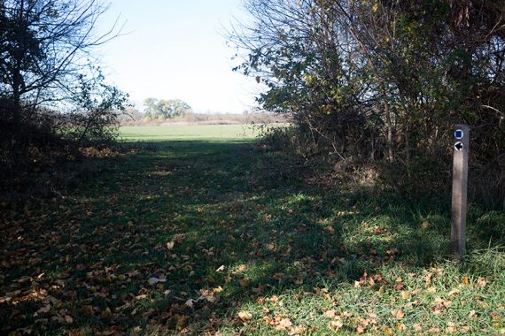 Trail marker post indicating a left turn at the edge of a field.