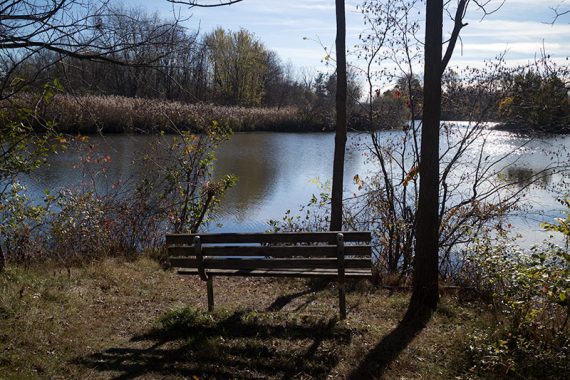 Bench off of Reservoir trail overlooking water.