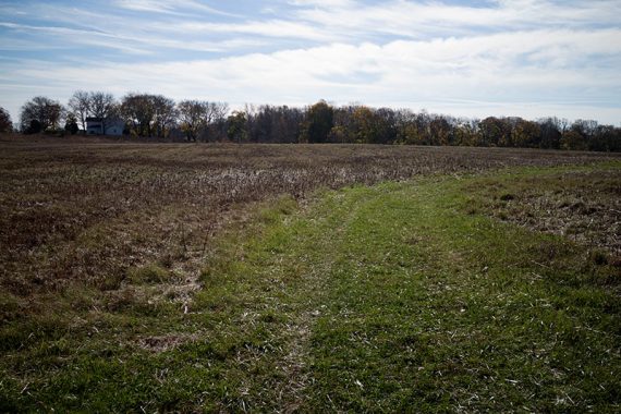 A route through a field on mowed paths.