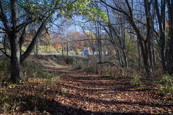 Reservoir trail after crossing the driveway.