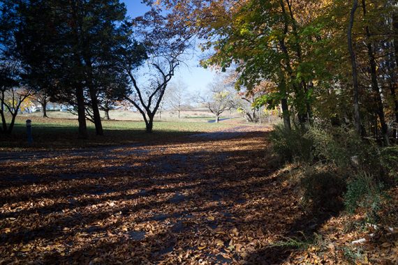 A paved park road near the trail.