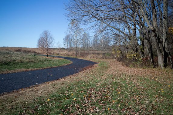 A paved path next to grass.