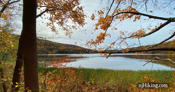 Allamuchy Pond.