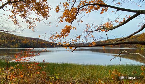 Allamuchy Pond