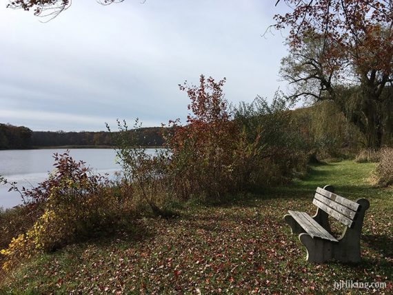 Bench along the pond