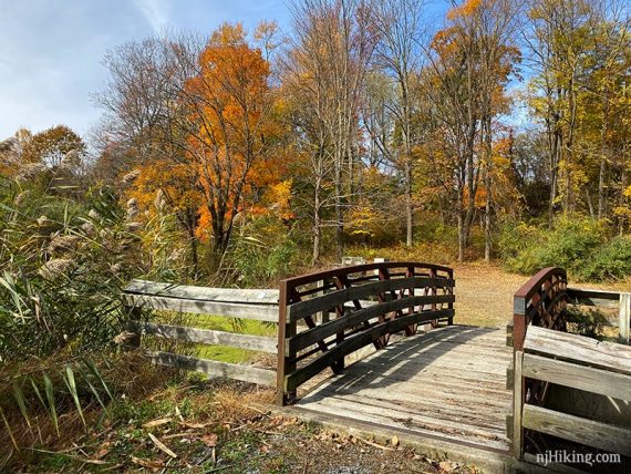 Wooden bridge with autumn trees around it