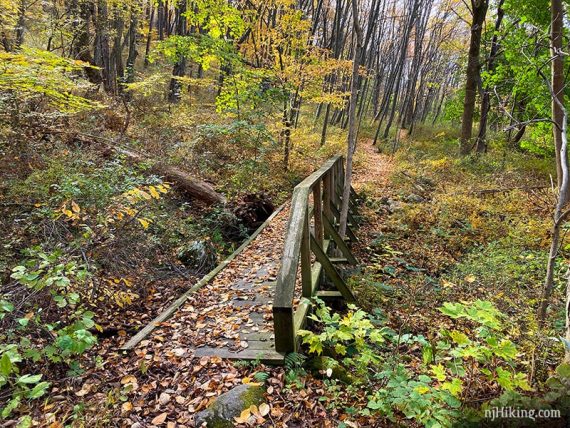 Bridge on Allamuchy Pond