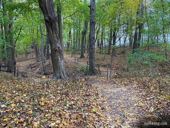 Still some green at Thompson Park