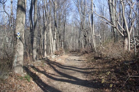 Wide flat trail.