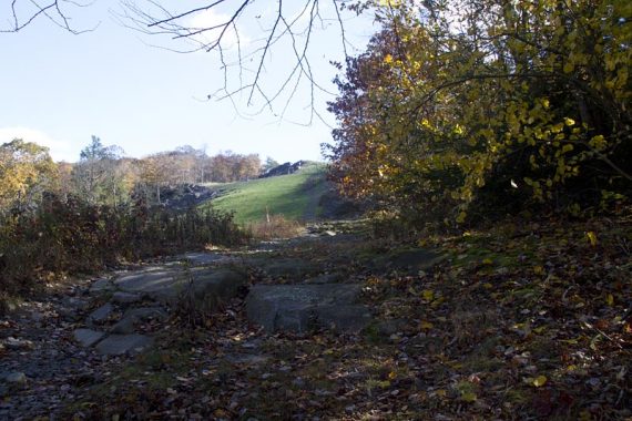 Hiking on a pipeline cut