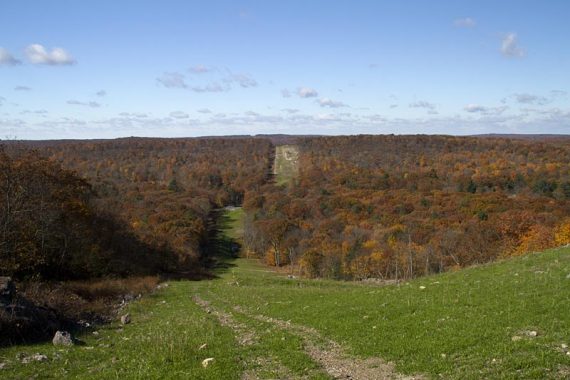 View of a pipeline cut through a forest