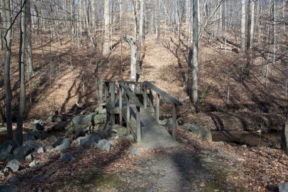 Footbridge over Merrill Creek.