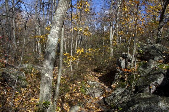 Rocky trail.