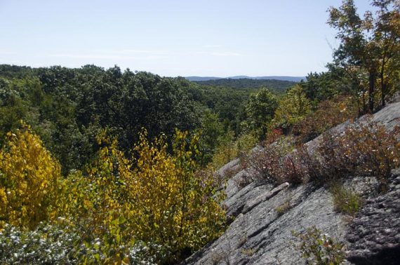 Trail scrambles up to a limited view.