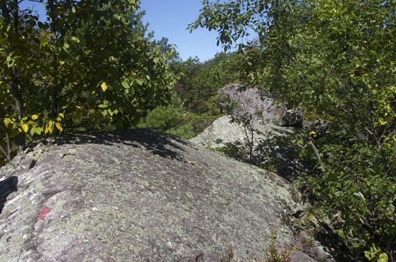 Some rock outcrops to scramble over.