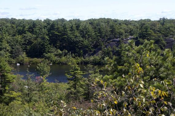 Approaching Terrace Pond.