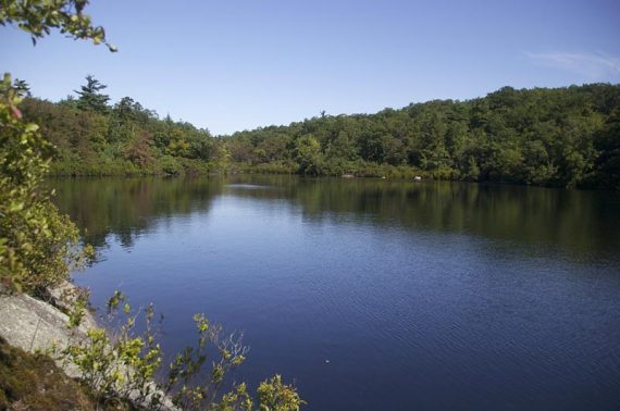 Terrace Pond.