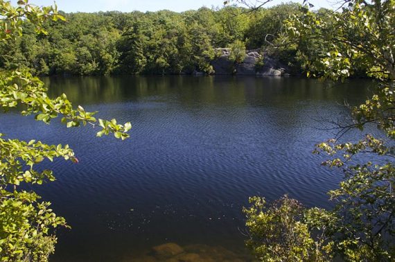 Terrace Pond.