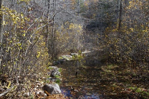 Flooded trail with rock on one side