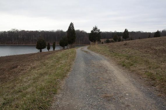 Easy woods road at the end of the loop.