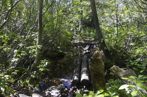 Water crossing on logs.