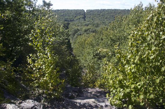 View of a pipeline cut.